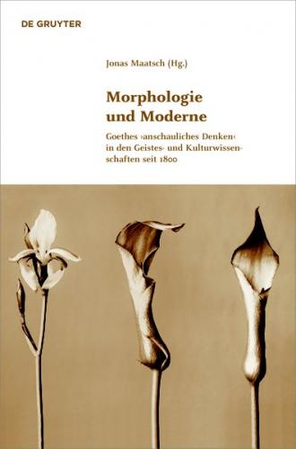Morphologie und Moderne (Ebook - EPUB) 
