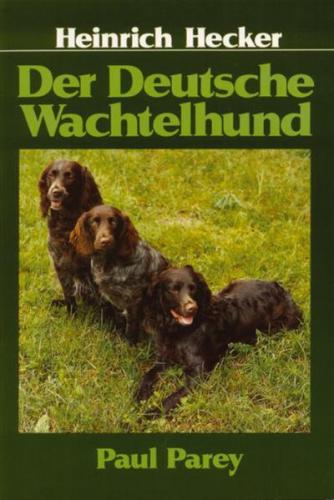 Der Deutsche Wachtelhund 