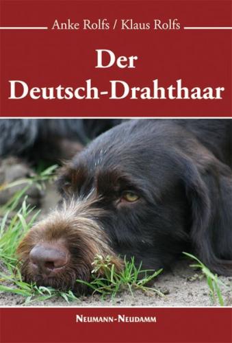 Der Deutsch-Drahthaar 