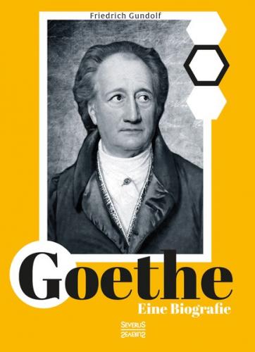 Goethe. Eine Biografie 